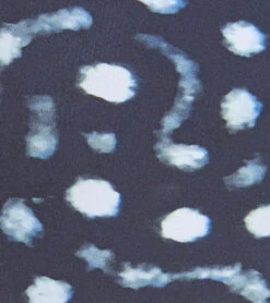 Xcel Womens Ocean Ramsey Axis 2mm Long Sleeve Back Zip Spring Suit -Optimal Swimming Equipment 5680475504808 blackwhaleshark 5a