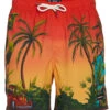 Men's 17" Resorto Printed Swim Trunks -Optimal Swimming Equipment 7456070828200 orange 1a