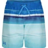 Under Armour Boys' UA On The Horizon Volley Shorts (Little Kid, Big Kid) 1 Under Armour Boys' UA On The Horizon Volley Shorts (Little Kid, Big Kid) -Optimal Swimming Equipment 7647419433128 bluecircuit 1a